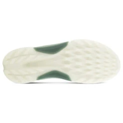 Ecco Biom H4 BOA Gore-Tex Golf Shoes 11 Ecco Biom H4 BOA Gore-Tex Golf Shoes -Golf Master Shop Ecco Biom H 4 BOA Gore Tex Golf Shoes Magnet Frosty Green 6